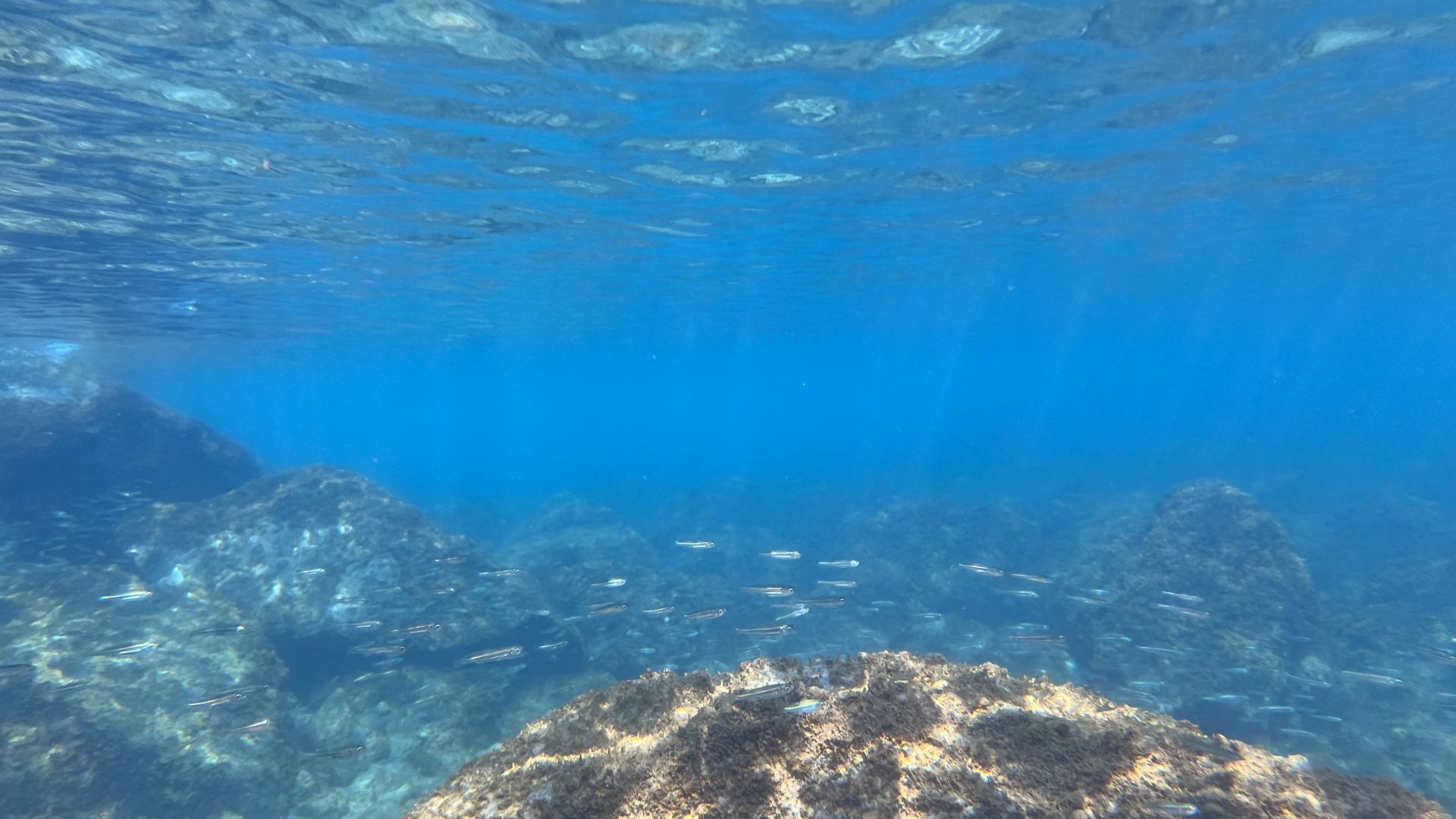 Dacci oggi il nostro mare quotidiano